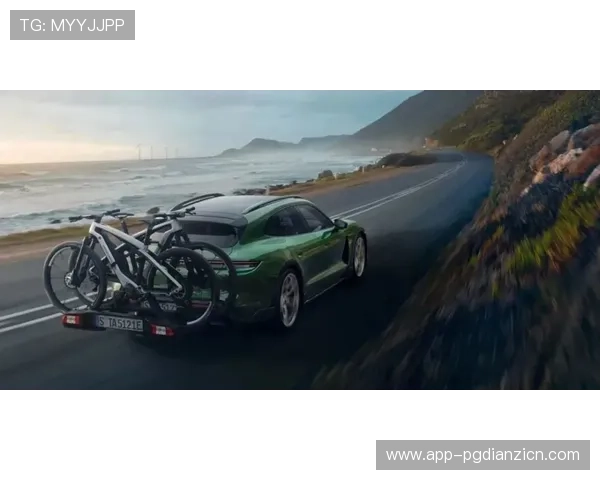 保时捷pg娱乐官网下载助力品牌全球化战略实现，推动豪华汽车市场持续增长