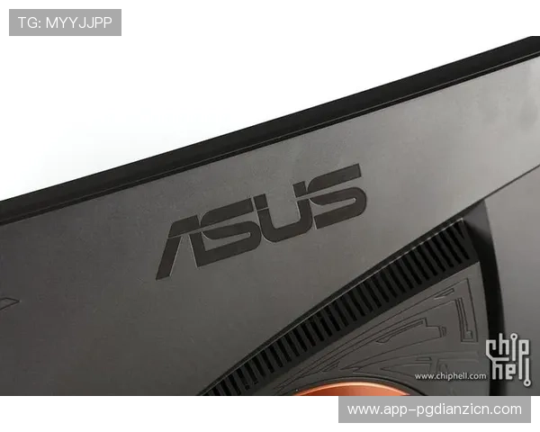 最新PG下载官网入口全面升级优化用户体验与安全保障